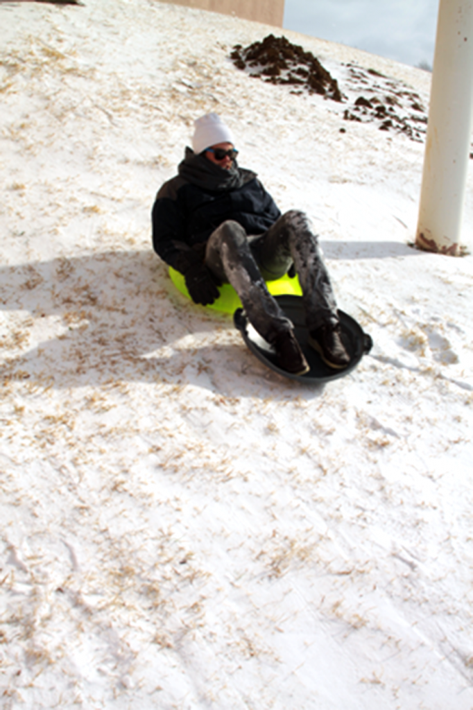 NE Campus student Jeff Southerland slides down an ice-covered hill at North Richland Hills’ Adventure World Park Feb. 2.  From sledding to studying, students found various ways of filling their impromptu break from school. 
Casey Holder/The Collegian
