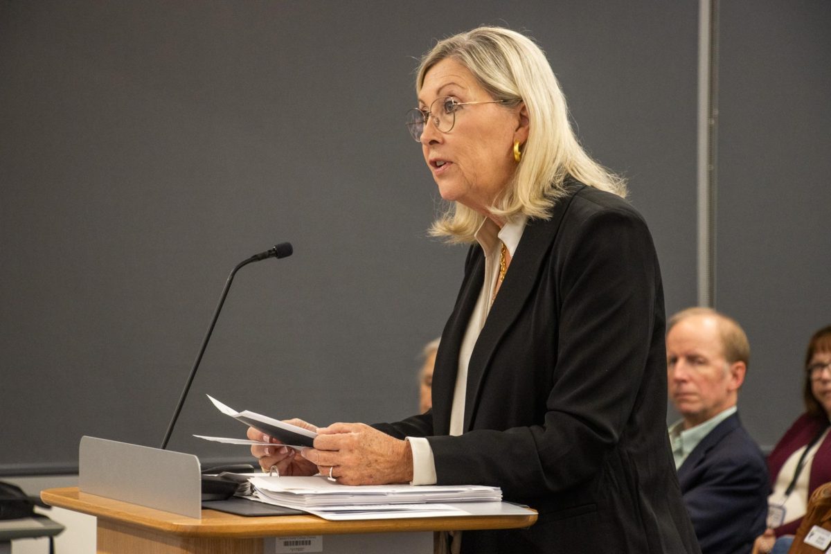 Chief financial officer Pamela Anglin addresses the board during the November board meeting.