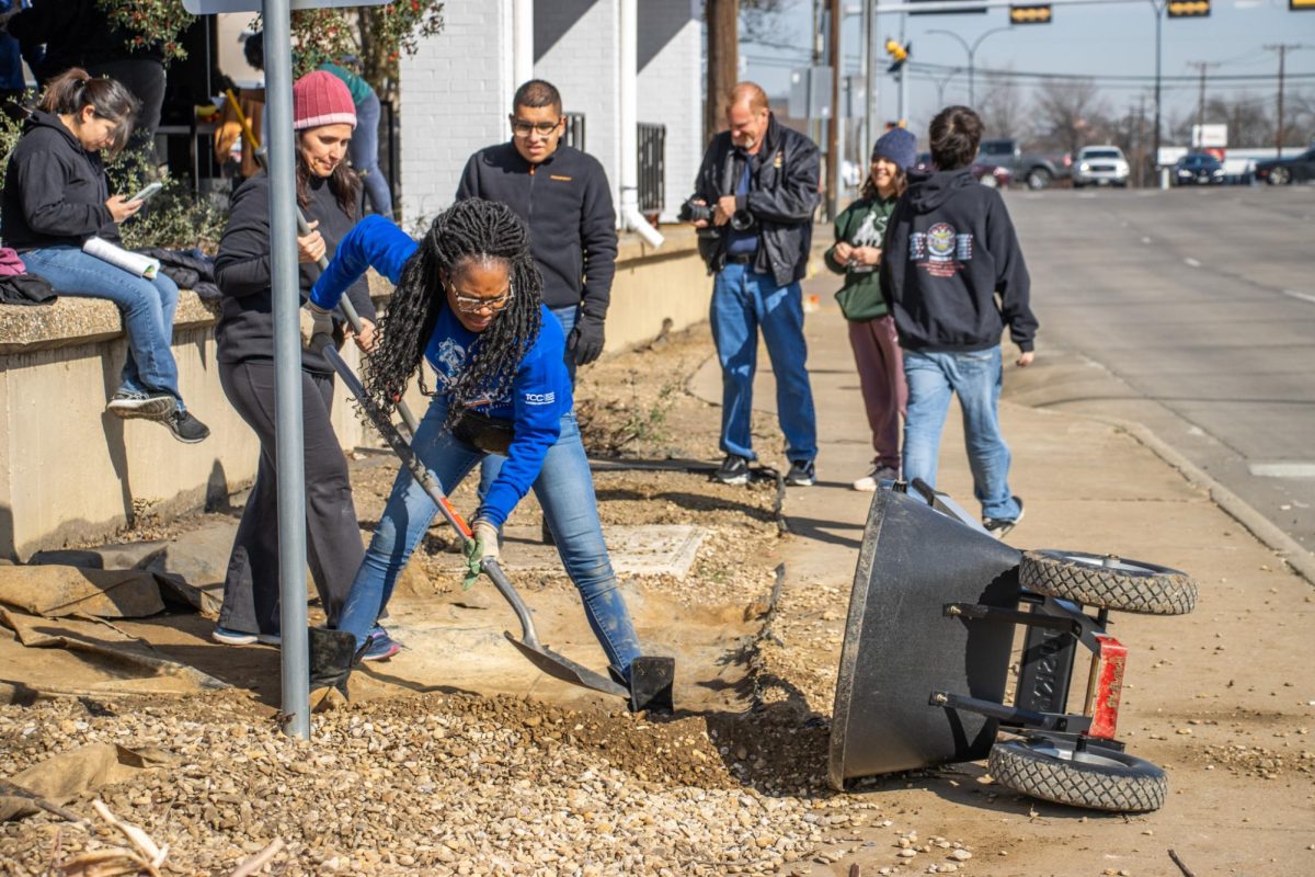 Taste Project: Students gather, rake and remove for their community