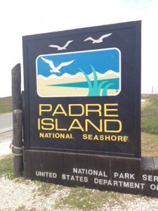 South Padre Island is a spring break hot spot in Texas. Photo by Karen Gavis/The Collegian