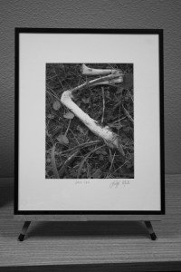 Deer Leg, Karla Morton Photos by Christina Andes/The Collegian