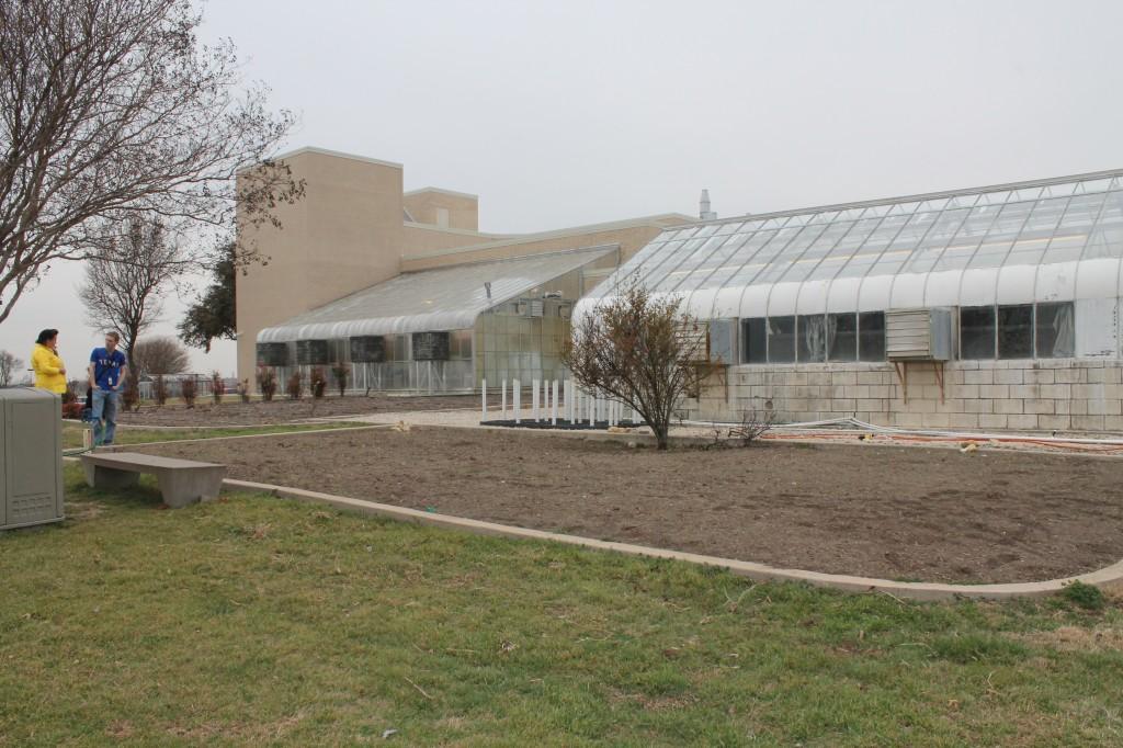 Haylie Jones/The Collegian  This spring, students can be on the lookout for many vegetables and a rose bush that was planted by faculty and students in the community garden on NW Campus. 