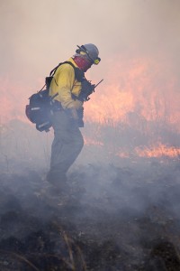 A firefighter walks through the burning field to the next rendezvous point. Photo by Katelyn Townsend/The Collegian