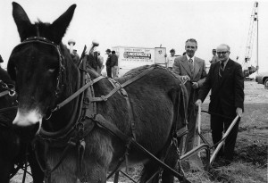 J. Ardis Bell and Joe B. Rushing plow with mules to break ground in 1974.  