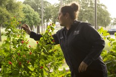 Lead groundskeeper Renee Peacock inspects some of the many selections of flowers that can be found around NE. Photos by Katelyn Townsend/The Collegian