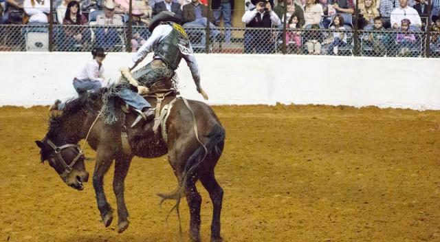 Cowboys, cowgirls saddle, ride into town for annual Stock Show