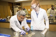 University of Hawaii professor Brian Yamamoto helps NE student Allyson Davis prepare an experiment to test antibacterial properties in common spices during an April 4 lab.Bogdan Sierra Miranda/The Collegian