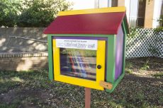 Little Free Libraries on TCC campuses are similar to birdhouses. They are colorful wooden boxes containing different books for students, staff and faculty to read.Bogdan Sierra Miranda/The Collegian