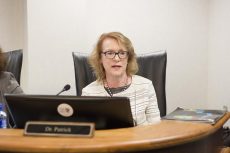 Patrick begins her work as the District 3 representative on the board of trustees Aug. 18. She also works at UTA.Bogdan Sierra Miranda/The Collegian