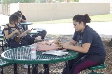 NE students sit near the chessboard, a designated gem in Pokemon Go, and work to fight the Pokemon guarding it. The app has over 100 million downloads.Photos by Bogdan Sierra Miranda/The Collegian