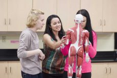 TR biology department chair Sophia Garcia helps students Ashley Kirkland and Ashley Jackson locate and identify human muscles. Garcia won the Chancellor’s Award for Exemplary Teaching for TR Campus. Bogdan Sierra Miranda/The Collegian
