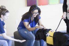 TR students Shannon Kassle and Maha Naveed pet and feed Kathy the therapy dog during last spring’s Therapaws session where animals help students with finals stress. Therapaws will take place Dec. 12-13 on TR. Collegian file photos