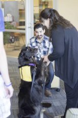 Judy and her therapy dog Kathy visit TR Campus before spring finals to offer stress relief and emotional support for students. 