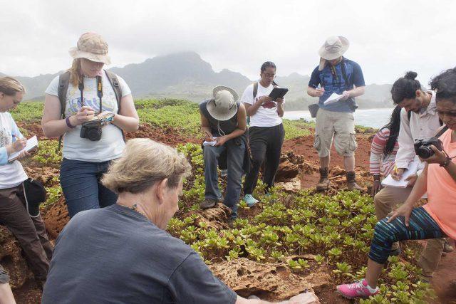 The June 8-21 Hawaiian Islands trip is a chance for students to participate in a geological field study. The trip costs $3,275-$3,400, not including meals, and requires a $500 deposit. 