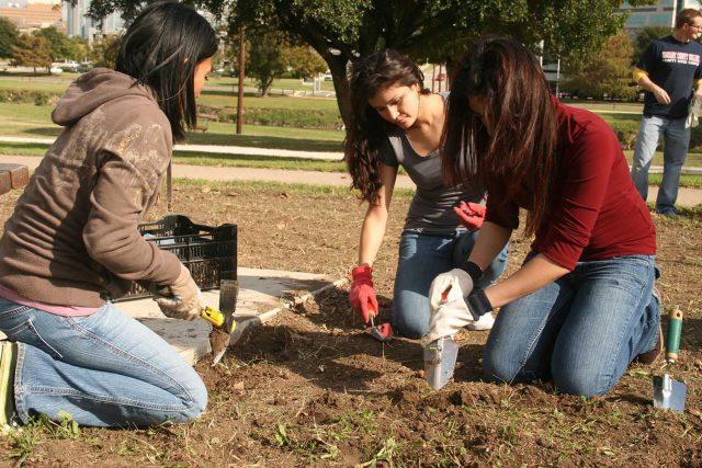 Earth Day on April 22 is a time to plant trees or flowers to help the environment. NW Campus has several events planned April 20-22 to celebrate. 

Collegian file photo