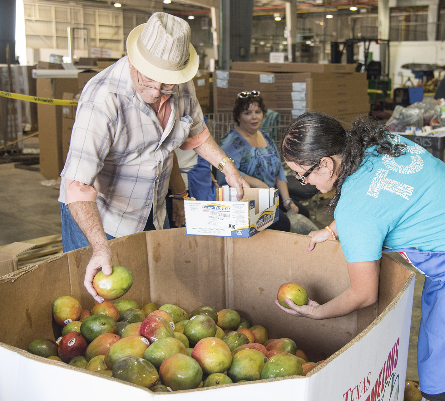 Banny Jaen from the NW CIE department sifts through a box of mangos with Inocente Salas, a Fort Worth resident, during NW Community Food Market Sept. 15 behind the NW collegiate high school.