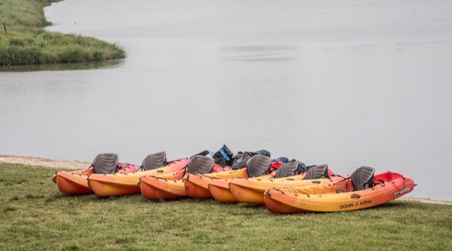 Kayaks line the edge of the Trinity River during TR’s Day of Service. A kayak team consisting of 16 faculty, staff and students kayaked to pick up trash out of the river.