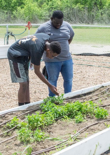 Two students tour the SE Campus Sustainability Garden at Gardening with Impact April 13.