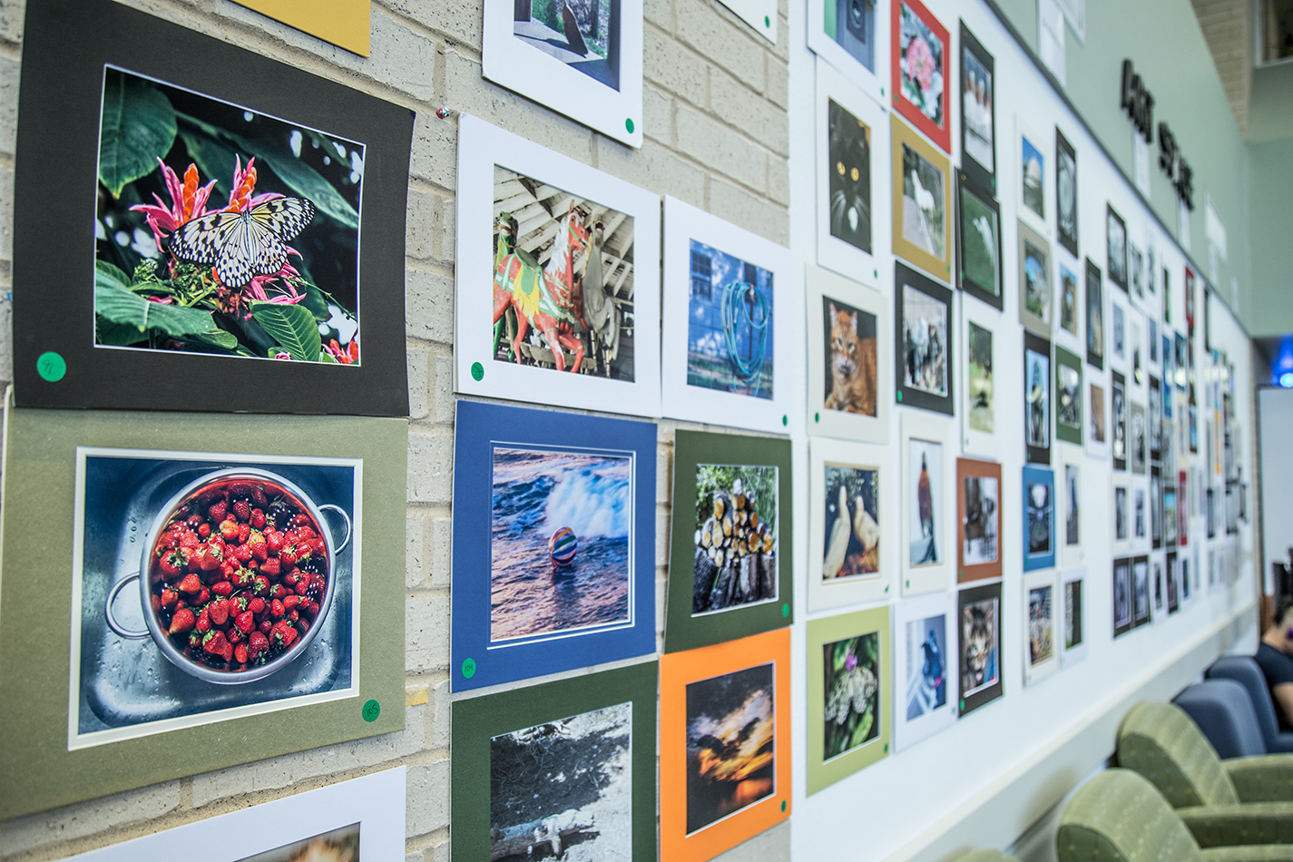 The student-submitted photos for the PICS photo contest hang in the art space of the Walsh Library on NW Campus. The winners were announced April 30, and the winning photos will remain hanging in the library until the end of the semester.
