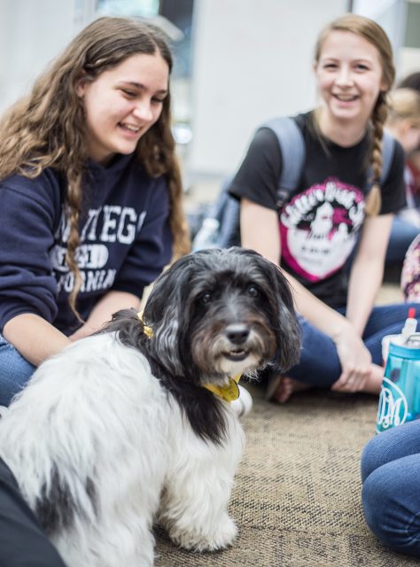 NE students Maddy Tull and Lexi Maher enjoy time with therapy dog Mandie, one of four dogs who came to offer a study break April 30 on NE Campus.