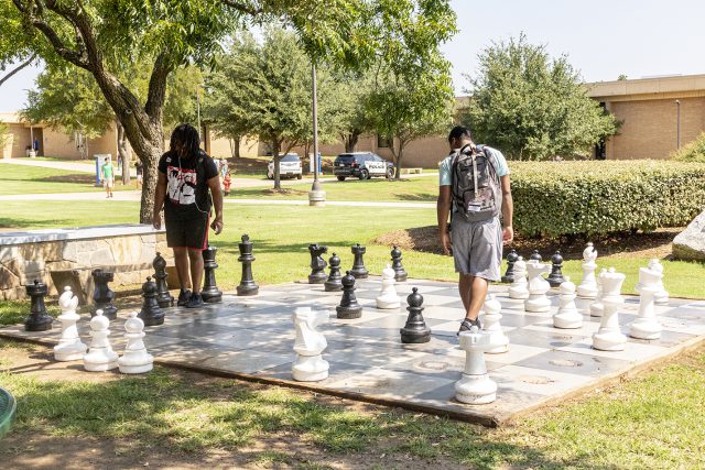 NE students Shamar Sinegal and Cameron Stephens play a game of chess on the NE Campus green in between classes on the first day back to school Aug. 20.