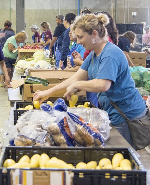 NW students, faculty and staff participate in the Community Food Market on NW Campus. The monthly food market also serves the surrounding community with fresh produce.