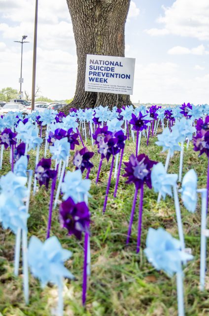 Students are given the opportunity to honor those lost by suicide by placing a pinwheel near the entrance of WFAB. Photo by Kat Parker/The Collegian