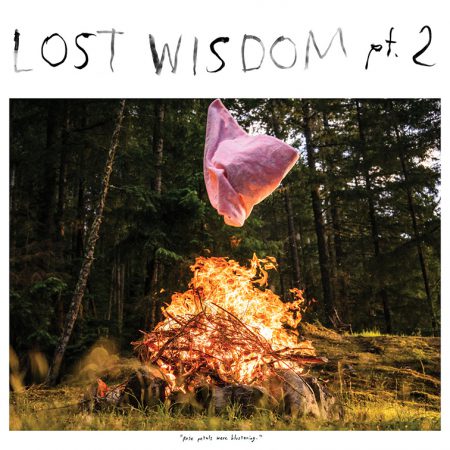 “Lost Wisdom pt. 2,” Mount Eerie. “Lost Wisdom pt. 2,” Mount Eerie’s follow-up on the original “Lost Wisdom” more than a decade later. The album brings back feature artist Julie Doiron from the original 2008 album.