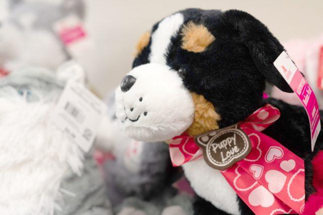 The South Campus TRIO program collects donated stuffed animal to give as gifts to victims of abuse or trauma to help them cope with their treatment at local hospitals. Brook Baldwin/The Collegian