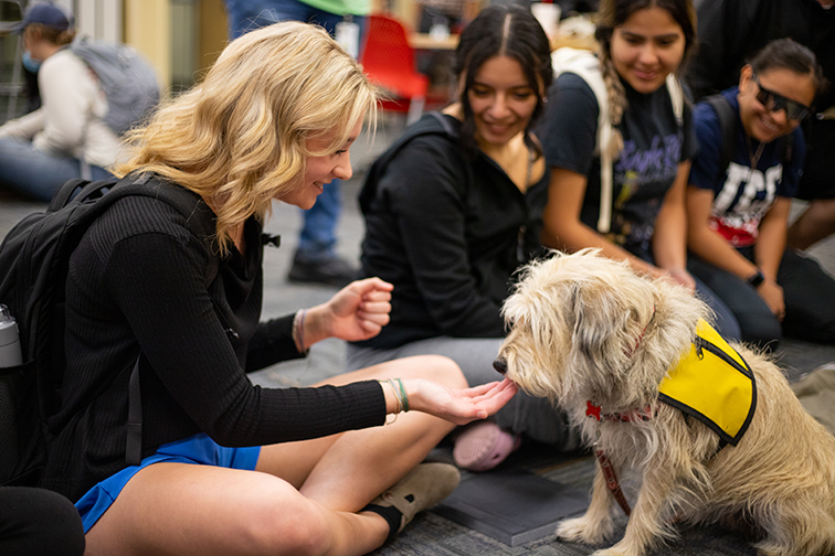 TCC student Journey Harrod Feeds Maddie the registered Therapy dog a treat at the TR therapaws event. Photo By Joel Solis / The Collegian