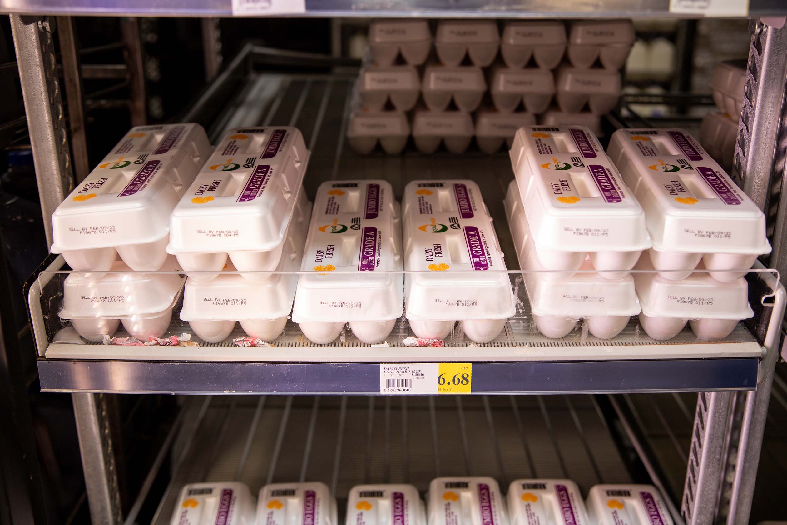 Prices for egg cartons soar as the bird flu flies in. According to the Texas Health and Services Department there hasn’t been a human-to-human transmission. Joel Solis/The Collegian