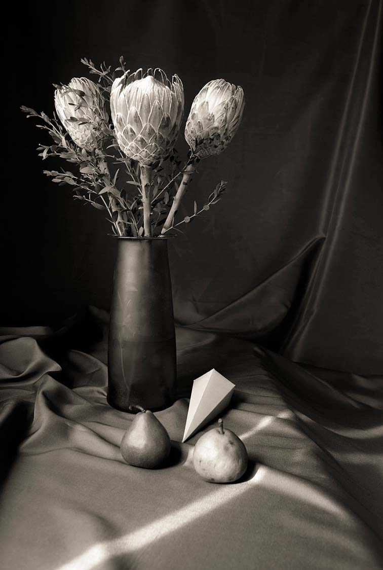 From Kahlo’s photo series “Marco Polo is metaphor” the picture “Wonders of this earth” depicts a flower vase. Photo courtesy Cristina Kahlo