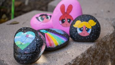 Alex Hoben/The Collegian Justin Thyme has made a variety of different rocks, including using characters from his favorite shows.