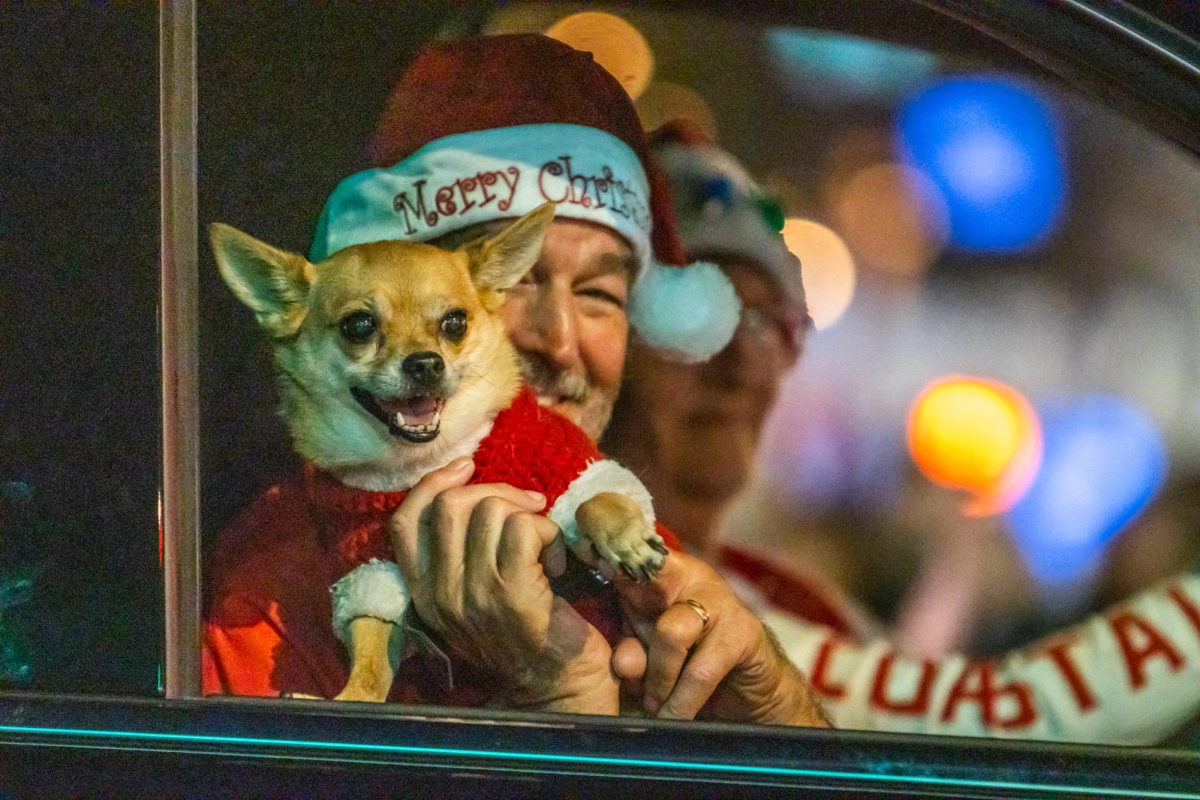 Both people and pets alike were featured in the parade, including this dog in the GM Financial Make A Wish Foundation truck.