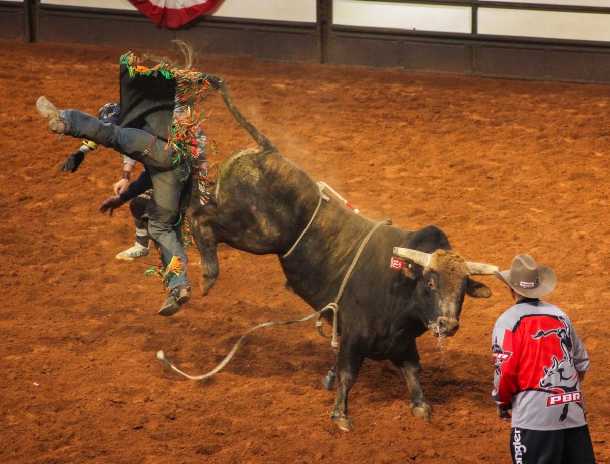 At PBR’s Last Cowboy Standing, Rogério Silva Venâncio gets bucked off bull “Walk Hard.”