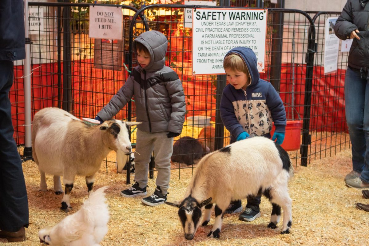 Brothers Colt and Liam Anaya brush two goats at the petting zoo which features animals from Westland Ranch.