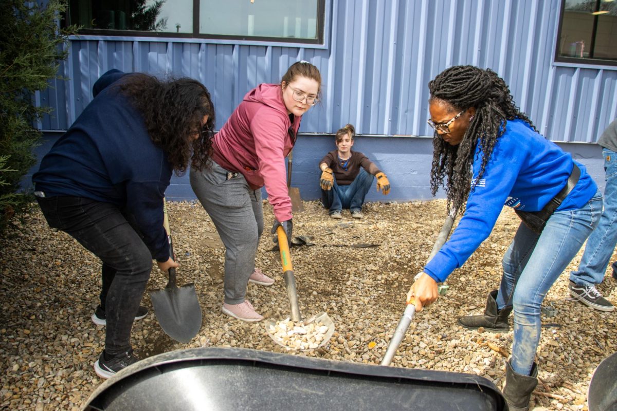 Taste Project: Students gather, rake and remove for their community