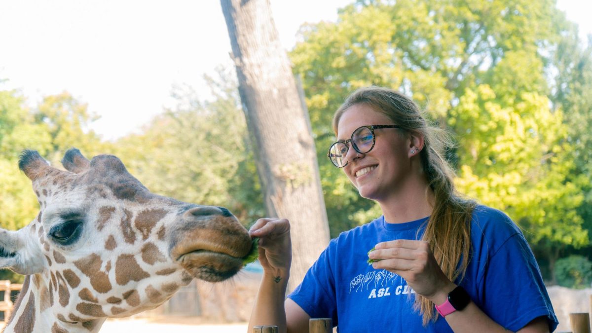 Grace Soechting, a deaf person who works in the field of wildlife sciences, feeds lettuce to a giraffe in Fort Worth Zoo during the Deaf Day at the zoo event on Sept. 20.