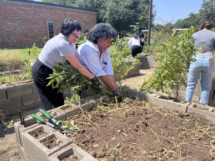 Duke and Jennings wear gloves to clean up the plant beds located by SMTH on South Campus. The Veterans Resource Center plan to use some of the plant beds to grow food and donate the harvest to the Tarrant Area Food Bank.