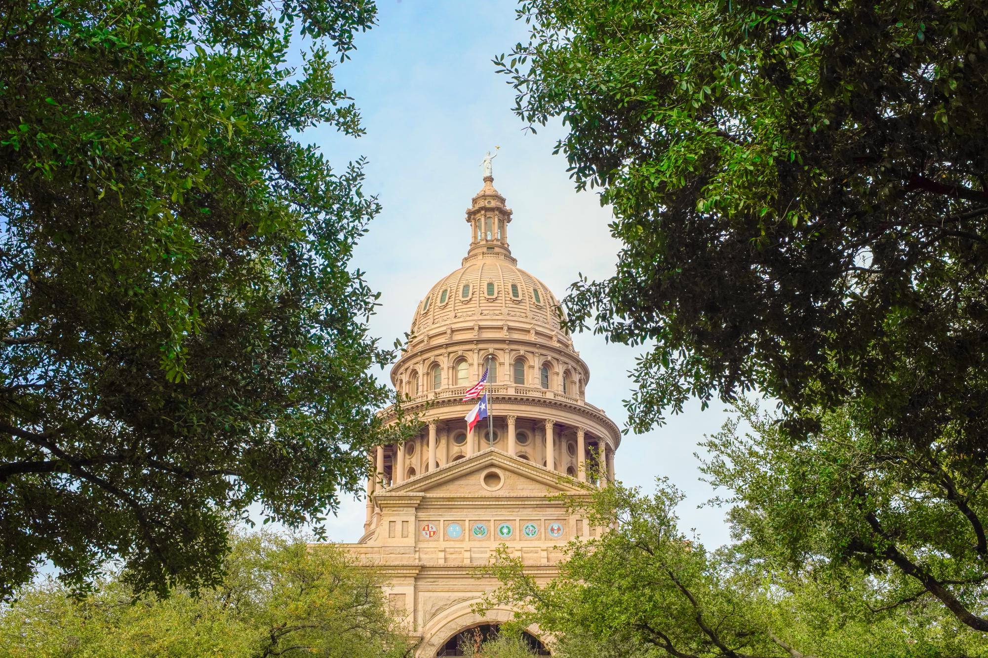 Early voting for the proposed amendments starts on Oct. 20 and ends on Oct. 31.  