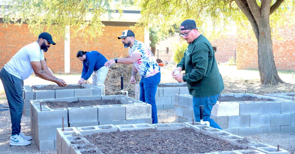South student veterans Sylvester Rutherford, Gregory Steinke, Darren Green and Derek Cloutier plant turnip seeds in the garden beds near SMTH on South Campus.