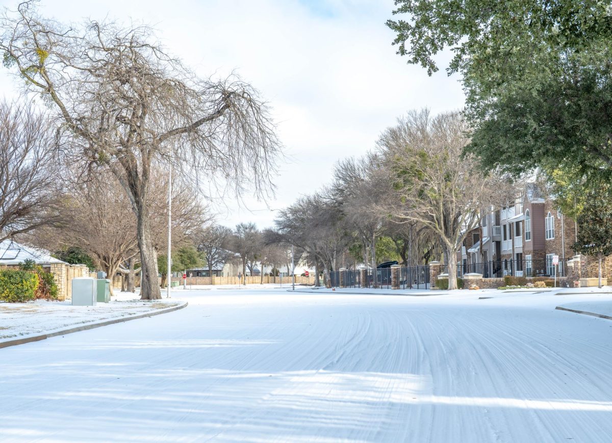 Campus Voices: "How did the winter storm affect you?"