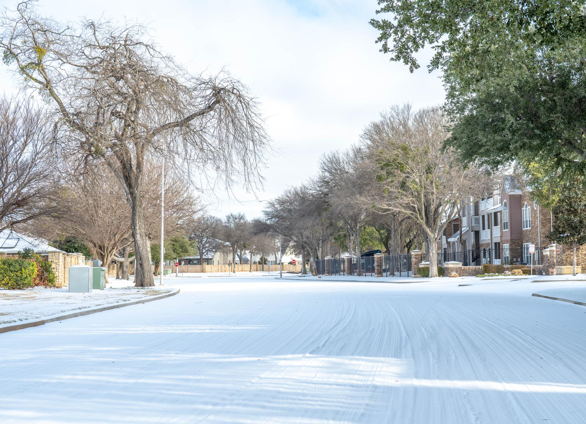 Campus Voices: "How did the winter storm affect you?"