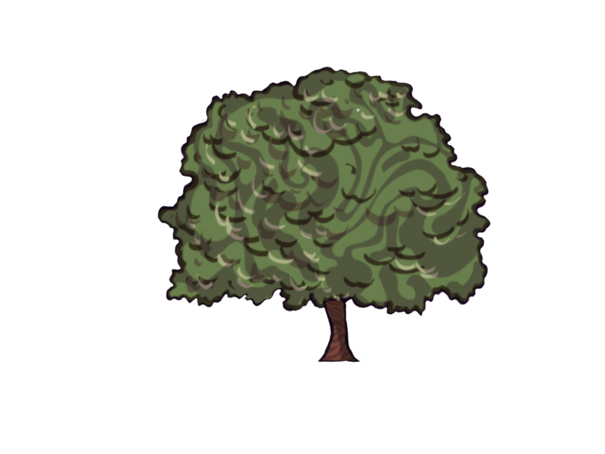 Campus Voices: What do you feel is affecting the environment the most? What can we  do to help?