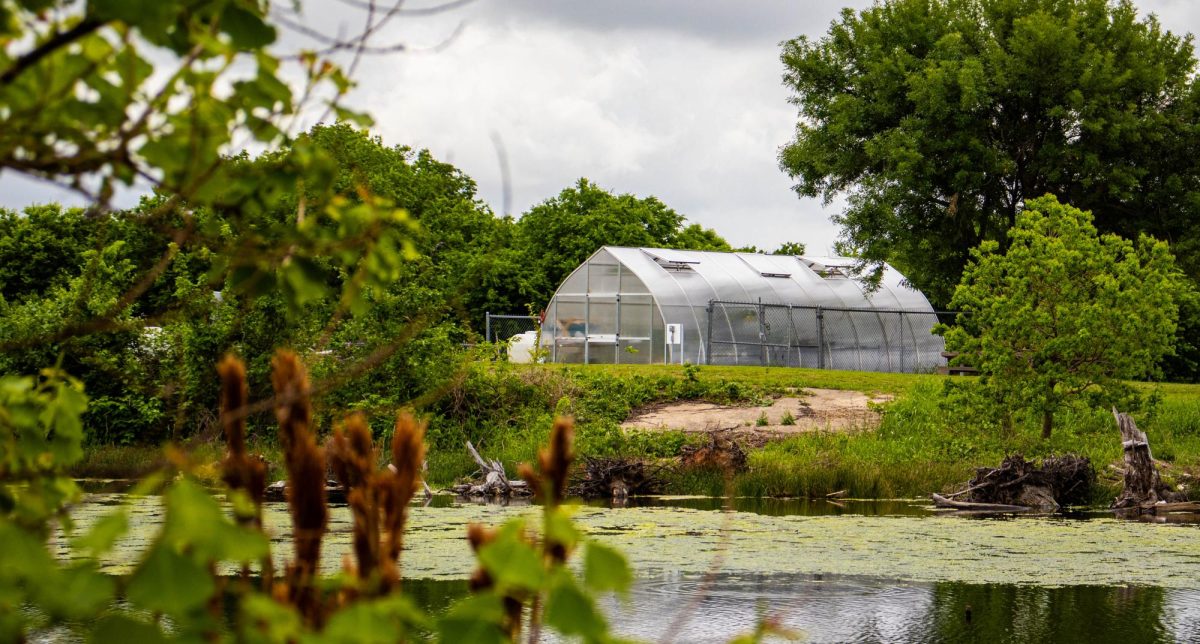 SE Community garden greenhouse surrounded by fencing on the bank of the campus pond.