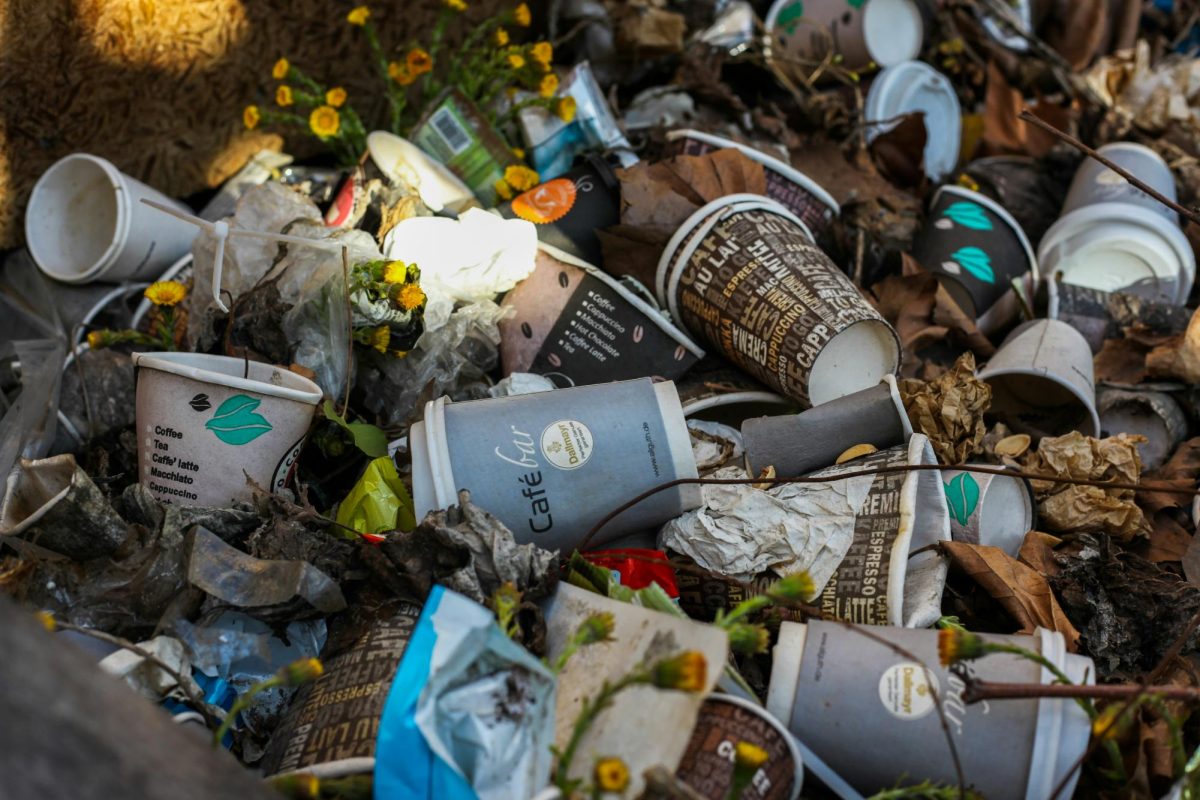 Americans need to take responsibility for current trash problem
