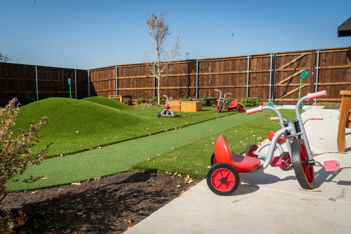 NW Child Care Studios offers a nature-inspired play area for young children Aug. 28.